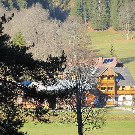 Obergrabnerhof Apartman Ramsau am Dachstein Kültér fotó